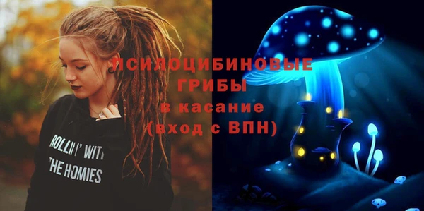 Альфа ПВП Пестово