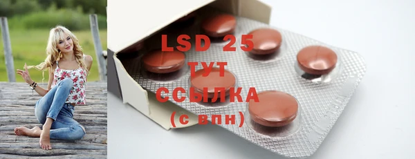 ECSTASY Пересвет