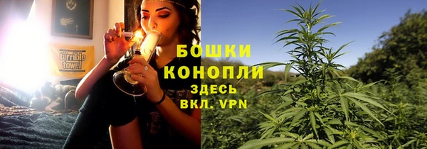 шишки Переславль-Залесский