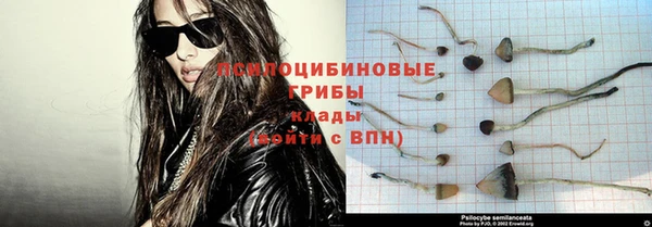 круглые Вязьма